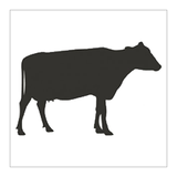 RT Minced Beef & Chicken Raw Treat Pet Food 500g