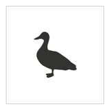 RT Minced Duck Raw Treat Pet Food 500g