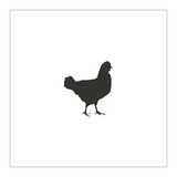 NM Raw  Poultry Liver  Chunks Natures Menu 1kg  bpl