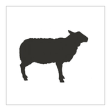 RT  Lamb Chunks/Cubes Raw Treat Brand 1KG