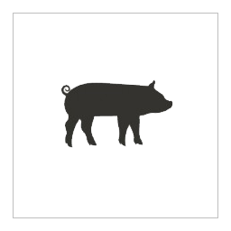 Pig Pancreas 1 kg . Call or email for information
