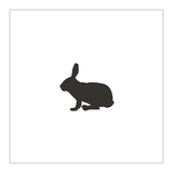 RT Minced Rabbit Raw Treat Pet Food 500g